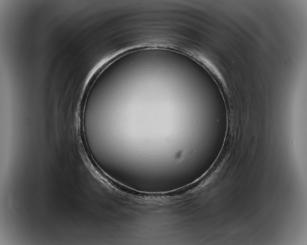 X0000085790944200703301448