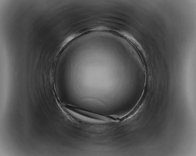 X0000085790945200703301448