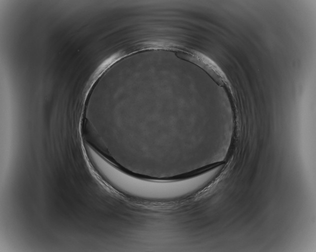 X0000085790946200703301448