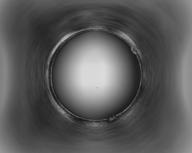 X0000085790947200703301448