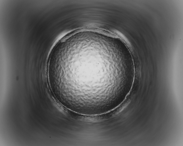 X0000085790948200703301448