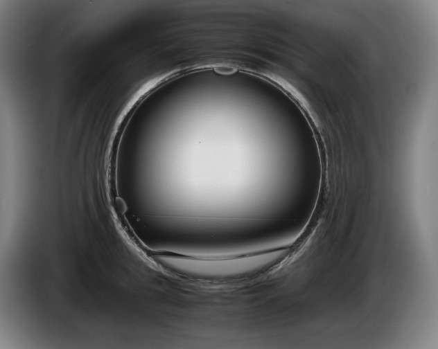 X0000085790949200703301448