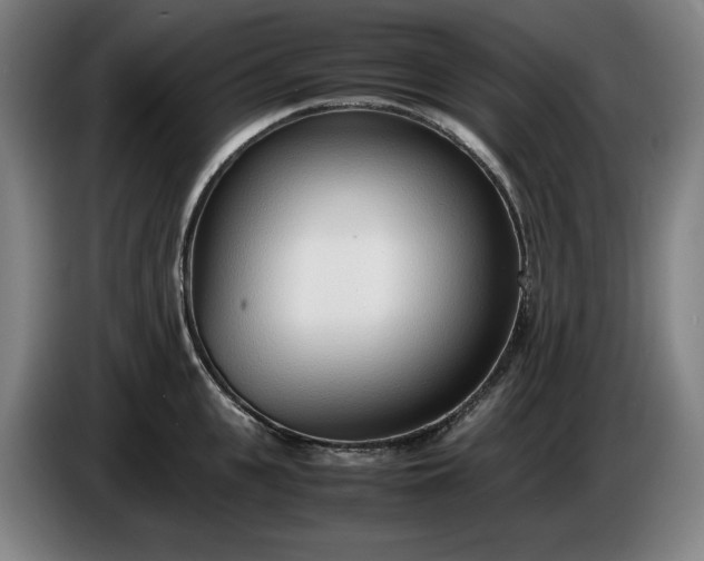 X0000085790951200703301448