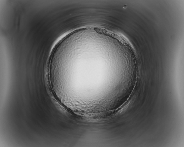 X0000085790952200703301448