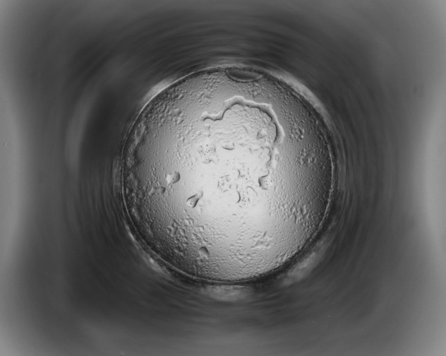 X0000085790953200703301448