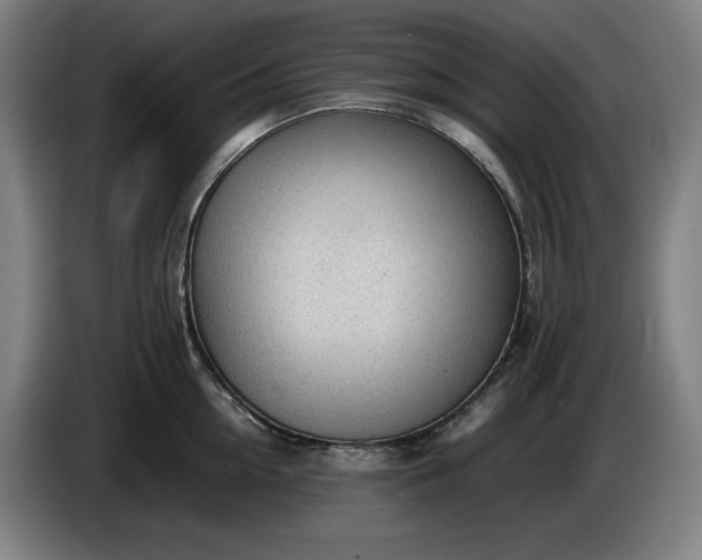 X0000085790954200703301448