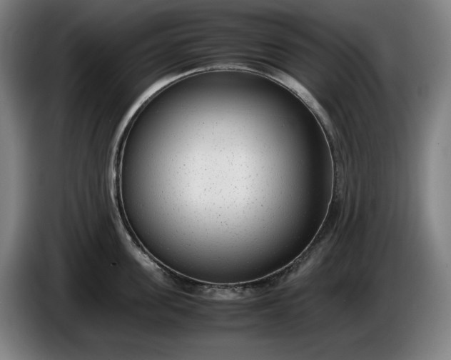 X0000085790955200703301448
