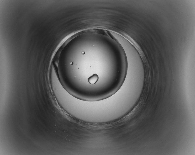 X0000085790956200703301448