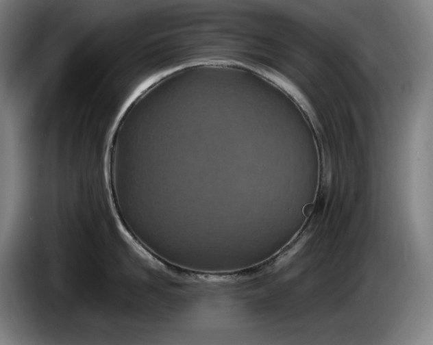 X0000085790958200703301448