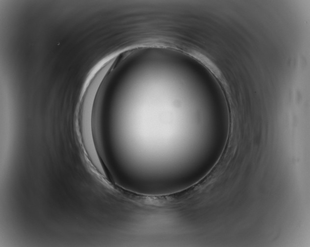 X0000085790960200703301448