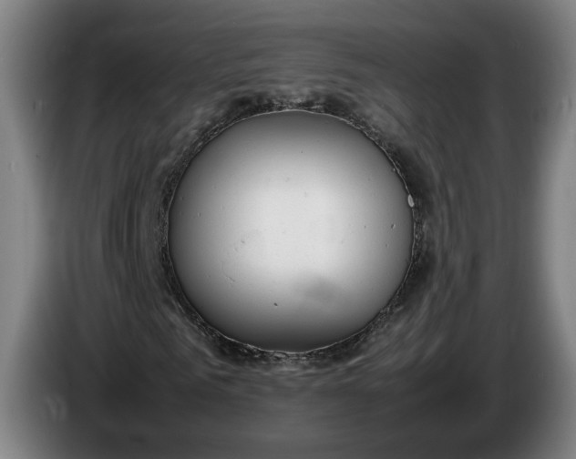 X0000085790961200703301448
