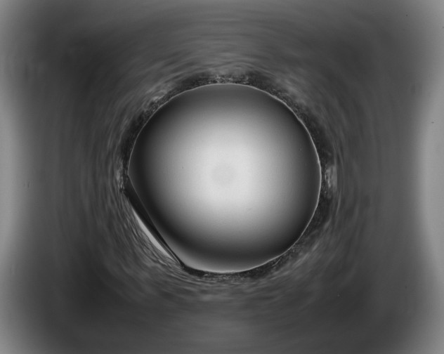 X0000085790963200703301448