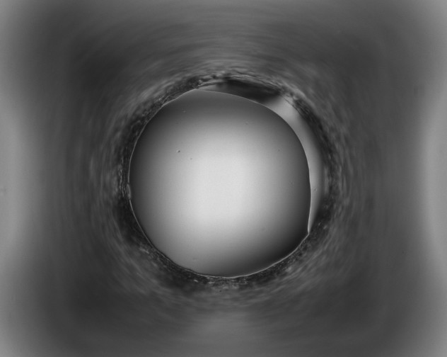 X0000085790965200703301448