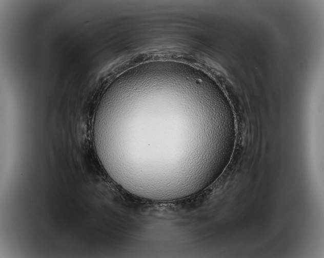 X0000085790966200703301448