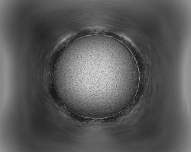 X0000085790967200703301448