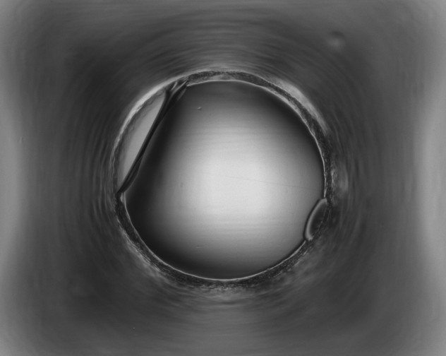 X0000085790972200703301447