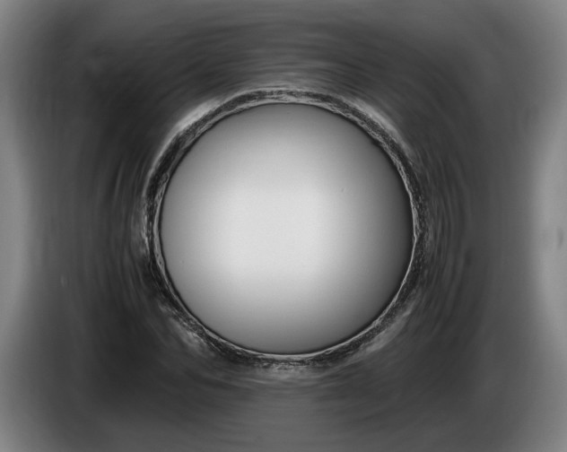 X0000085790974200703301447