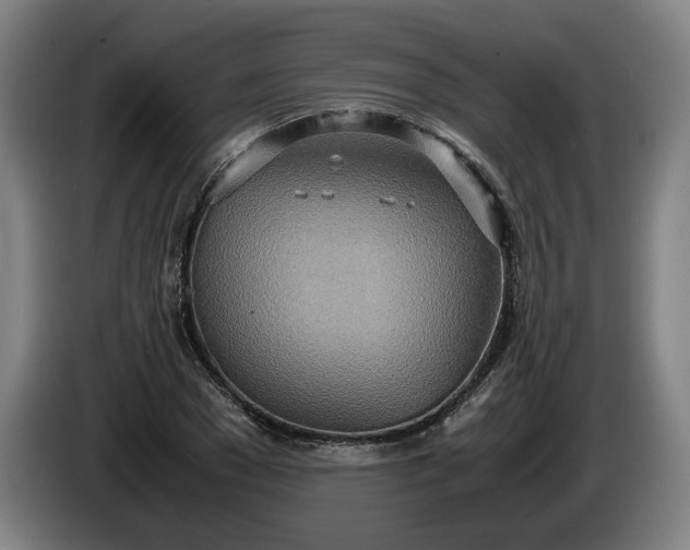 X0000085790977200703301447