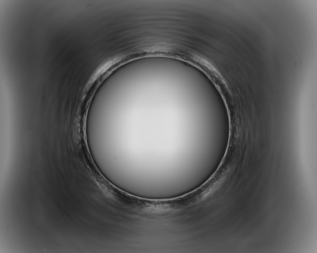 X0000085790978200703301447