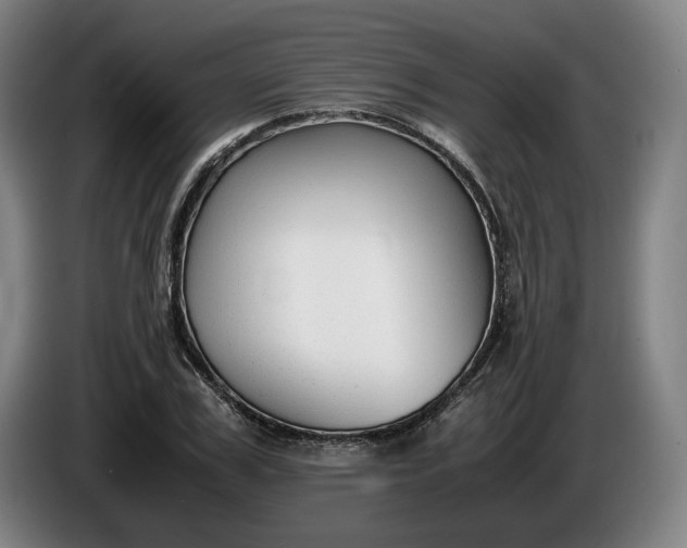 X0000085790979200703301447