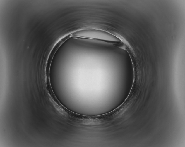 X0000085790980200703301447