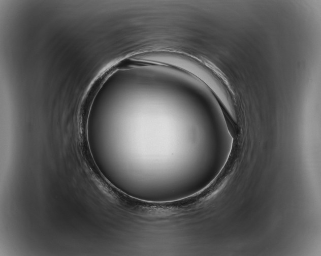 X0000085790981200703301447