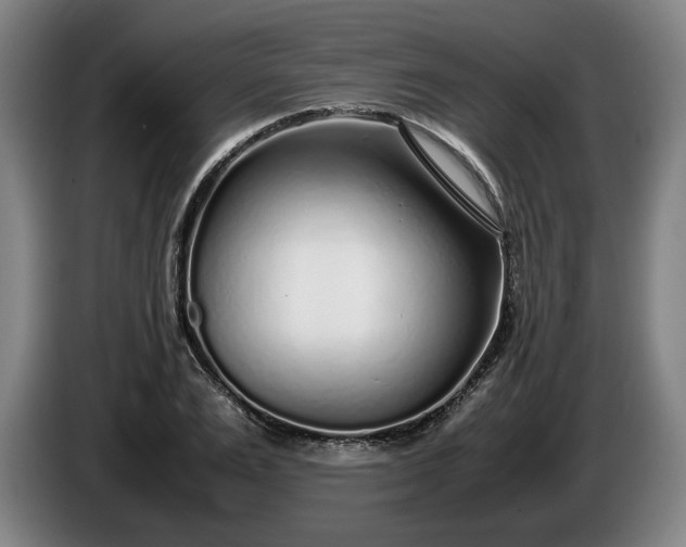 X0000085790983200703301447