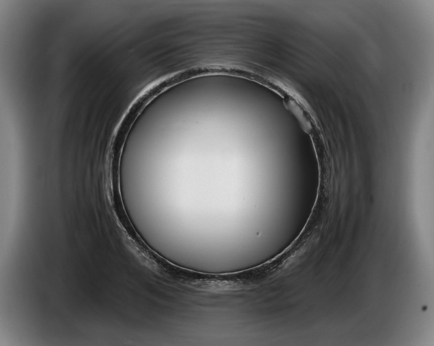 X0000085790984200703301447