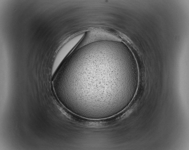 X0000085790985200703301447