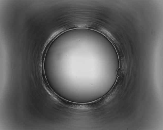 X0000085790986200703301447