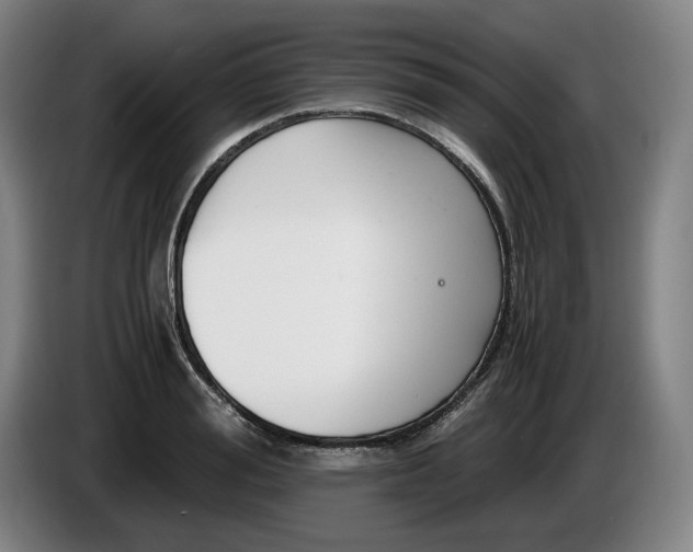 X0000085790988200703301447