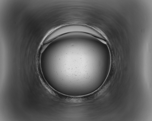X0000085790989200703301447