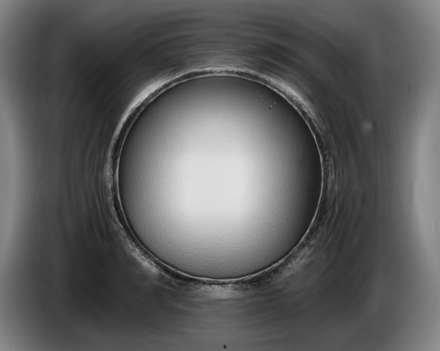 X0000085790990200703301447