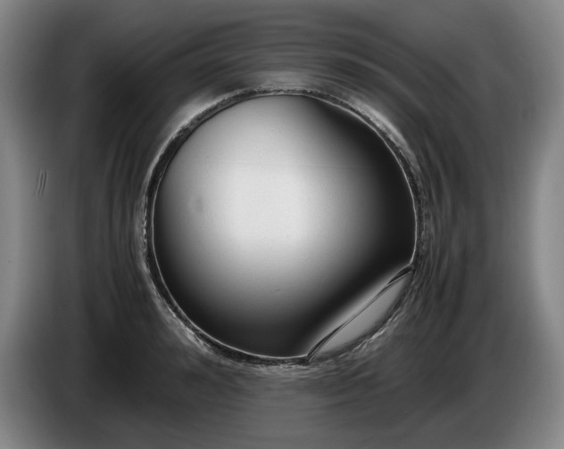 X0000085790992200703301447