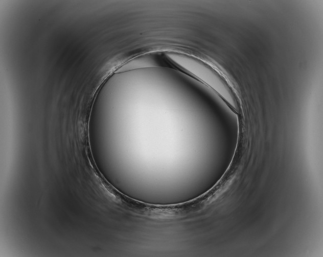 X0000085790993200703301447