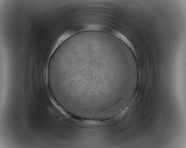 X0000085790994200703301447