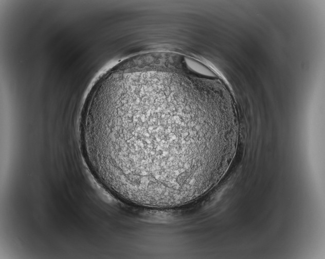 X0000085790995200703301447
