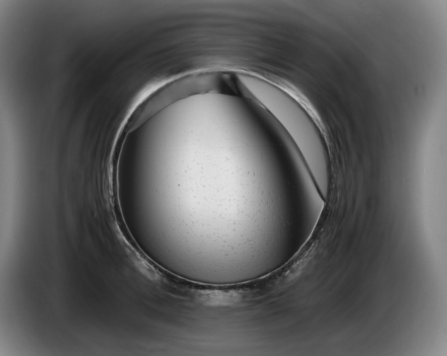 X0000085790996200703301447