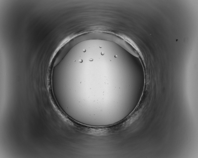 X0000085790997200703301447