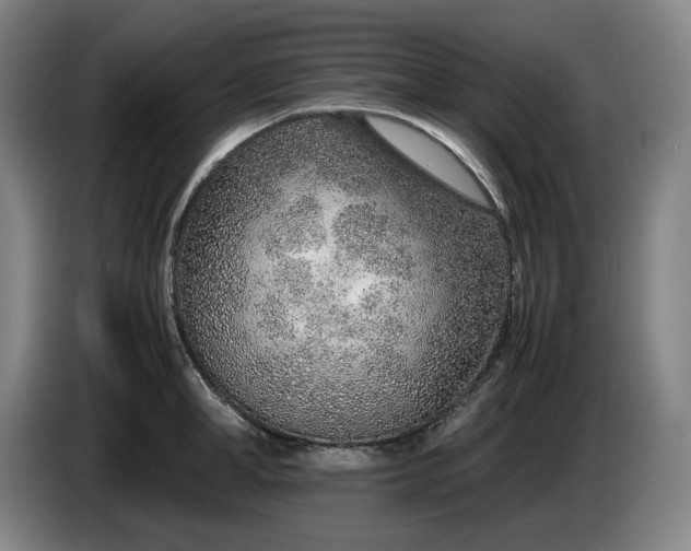 X0000085790998200703301447