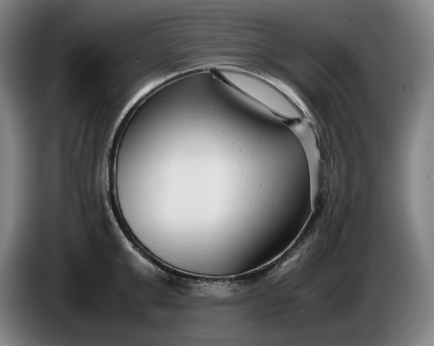 X0000085790999200703301447