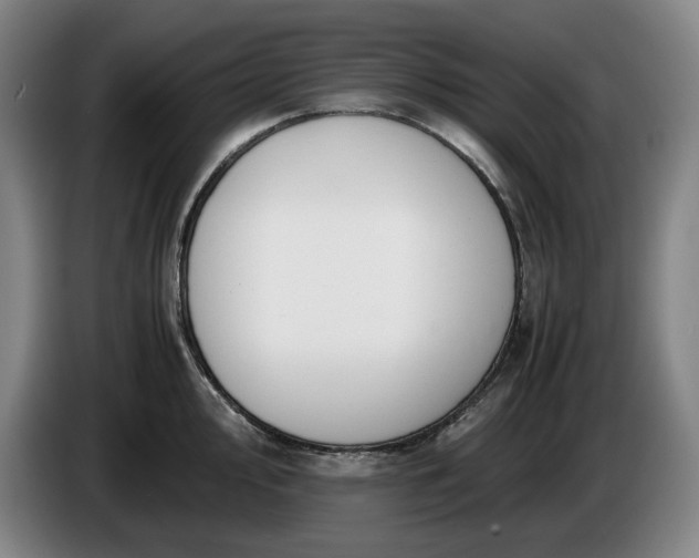 X0000085791000200703301447