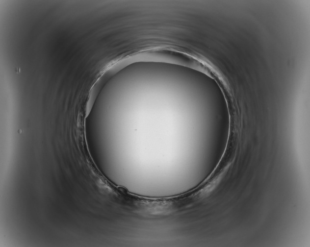 X0000085791001200703301447