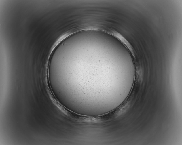 X0000085791002200703301447