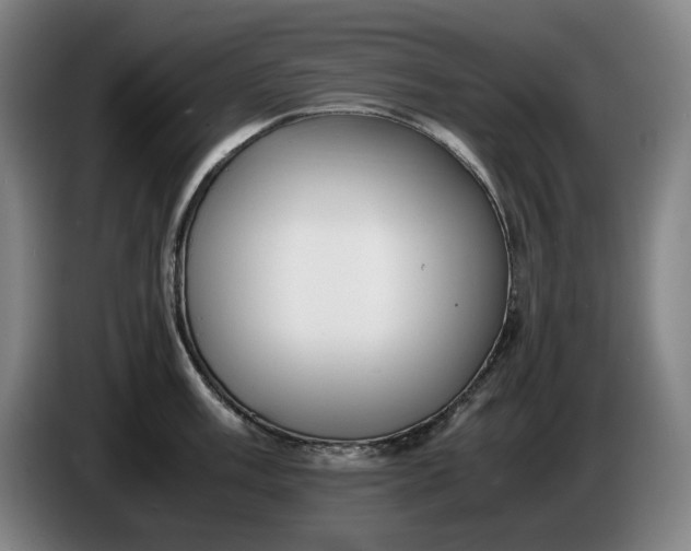 X0000085791003200703301447