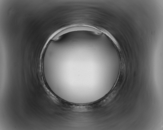 X0000085791004200703301447