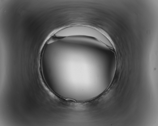 X0000085791005200703301447