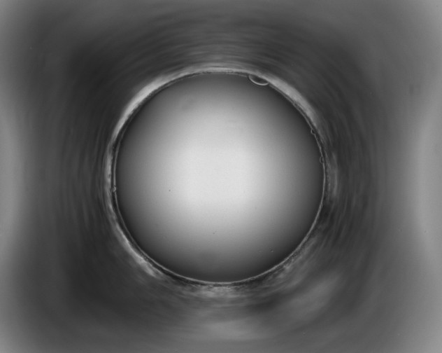 X0000085791006200703301447