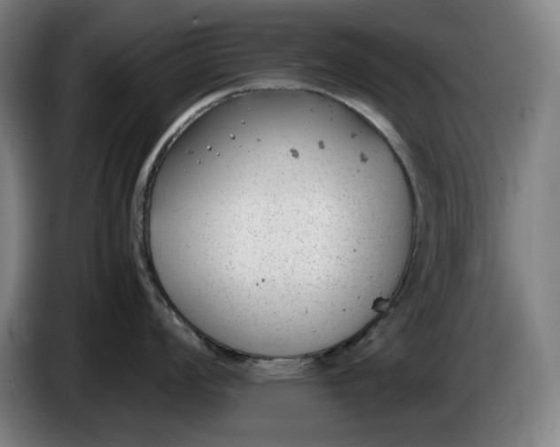 X0000085791008200703301447