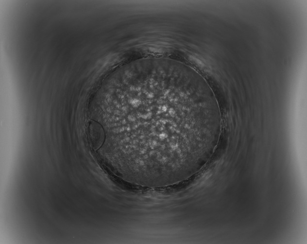 X0000085791009200703301446